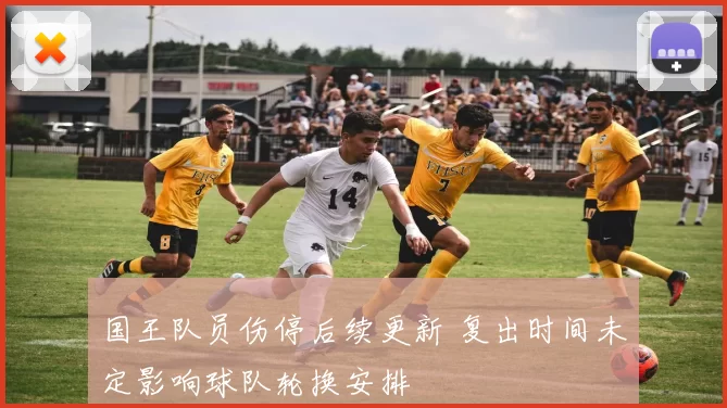 国王队员伤停后续更新 复出时间未定影响球队轮换安排