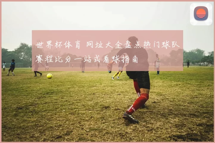 世界杯体育 网址大全盘点热门球队赛程比分一站式看球指南