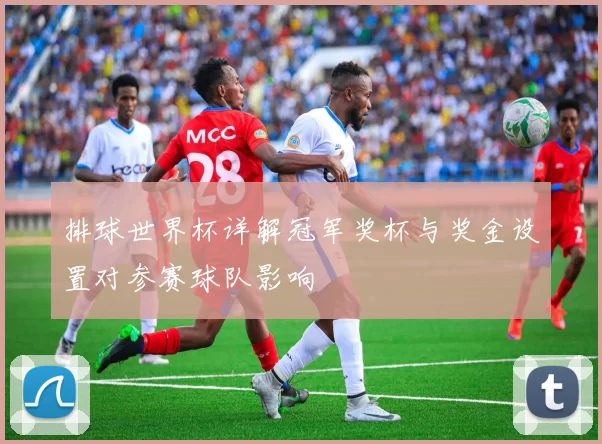 排球世界杯详解冠军奖杯与奖金设置对参赛球队影响