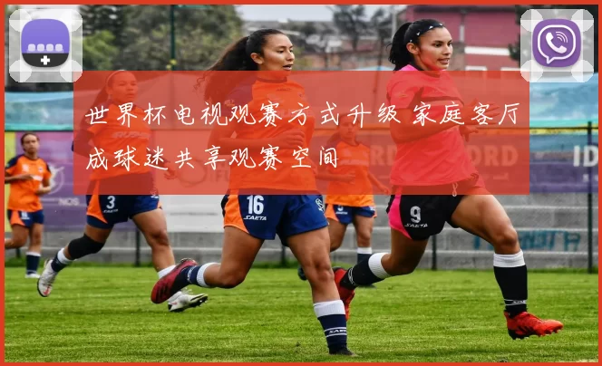 世界杯电视观赛方式升级 家庭客厅成球迷共享观赛空间