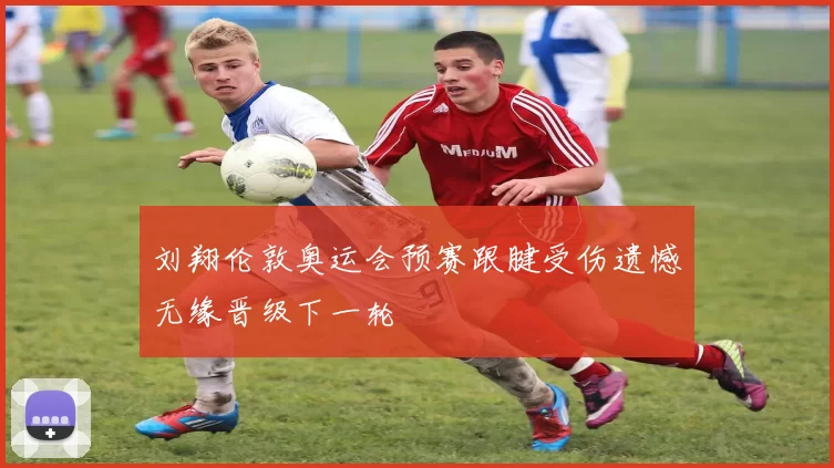 刘翔伦敦奥运会预赛跟腱受伤遗憾无缘晋级下一轮