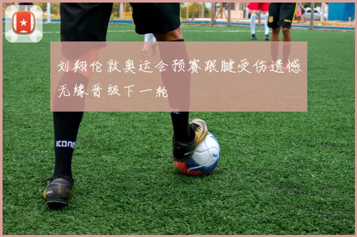 刘翔伦敦奥运会预赛跟腱受伤遗憾无缘晋级下一轮