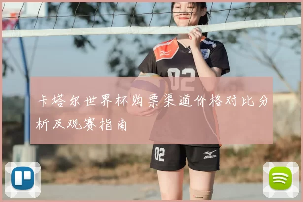 卡塔尔世界杯购票渠道价格对比分析及观赛指南